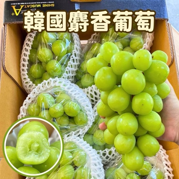按我加群預訂